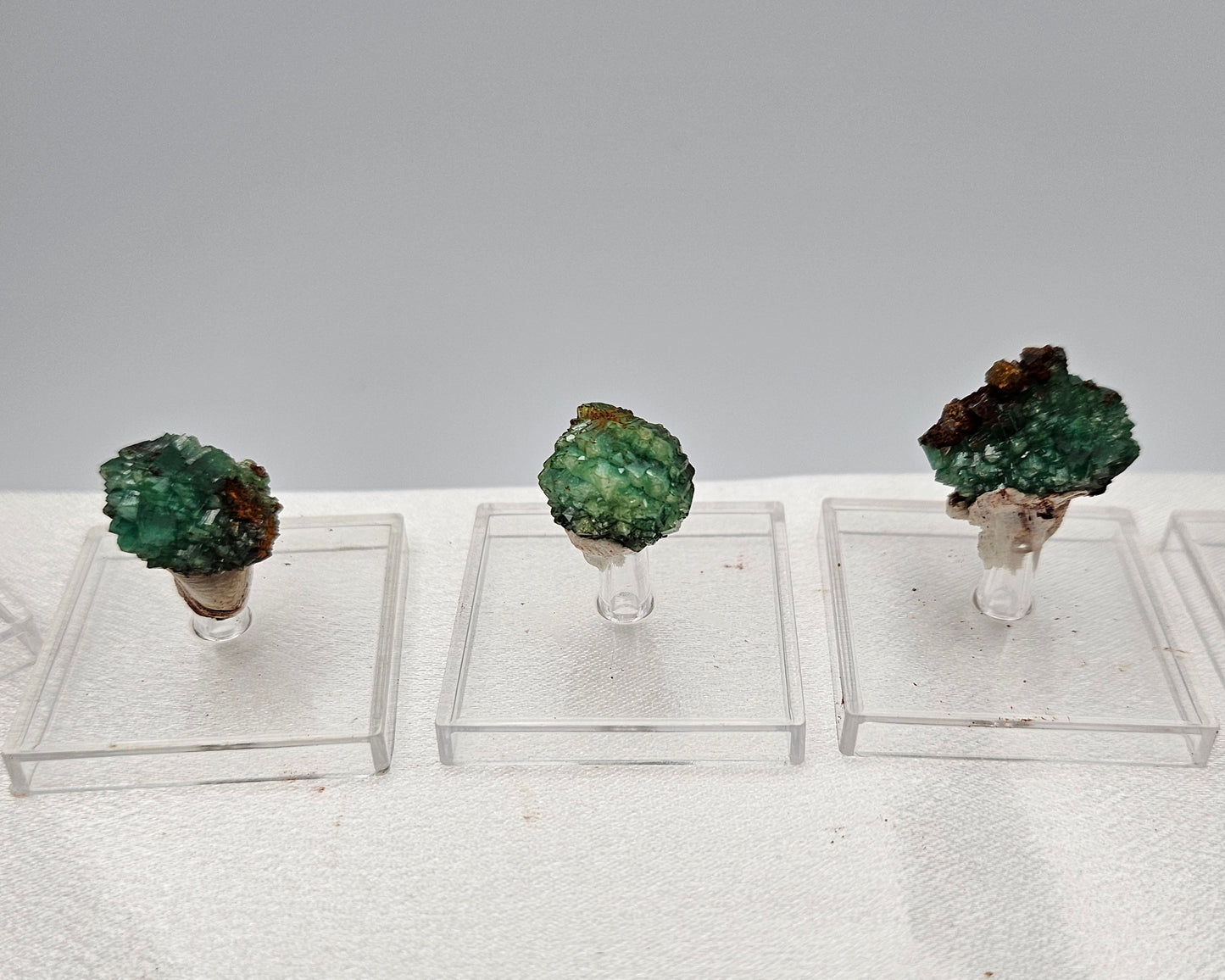 ADAMITE Fluorescent Ojuela Mine, Mapimí, Mexico