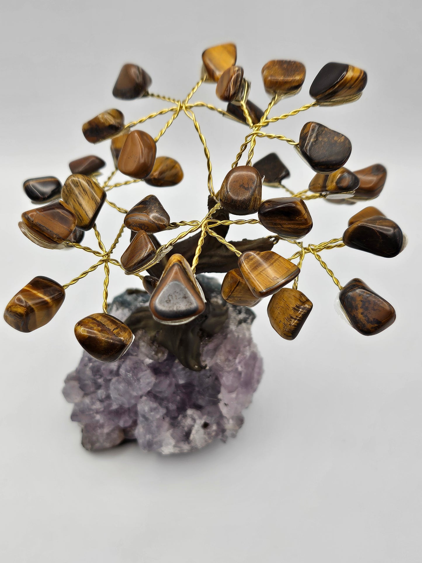 Tiger Eye Tree