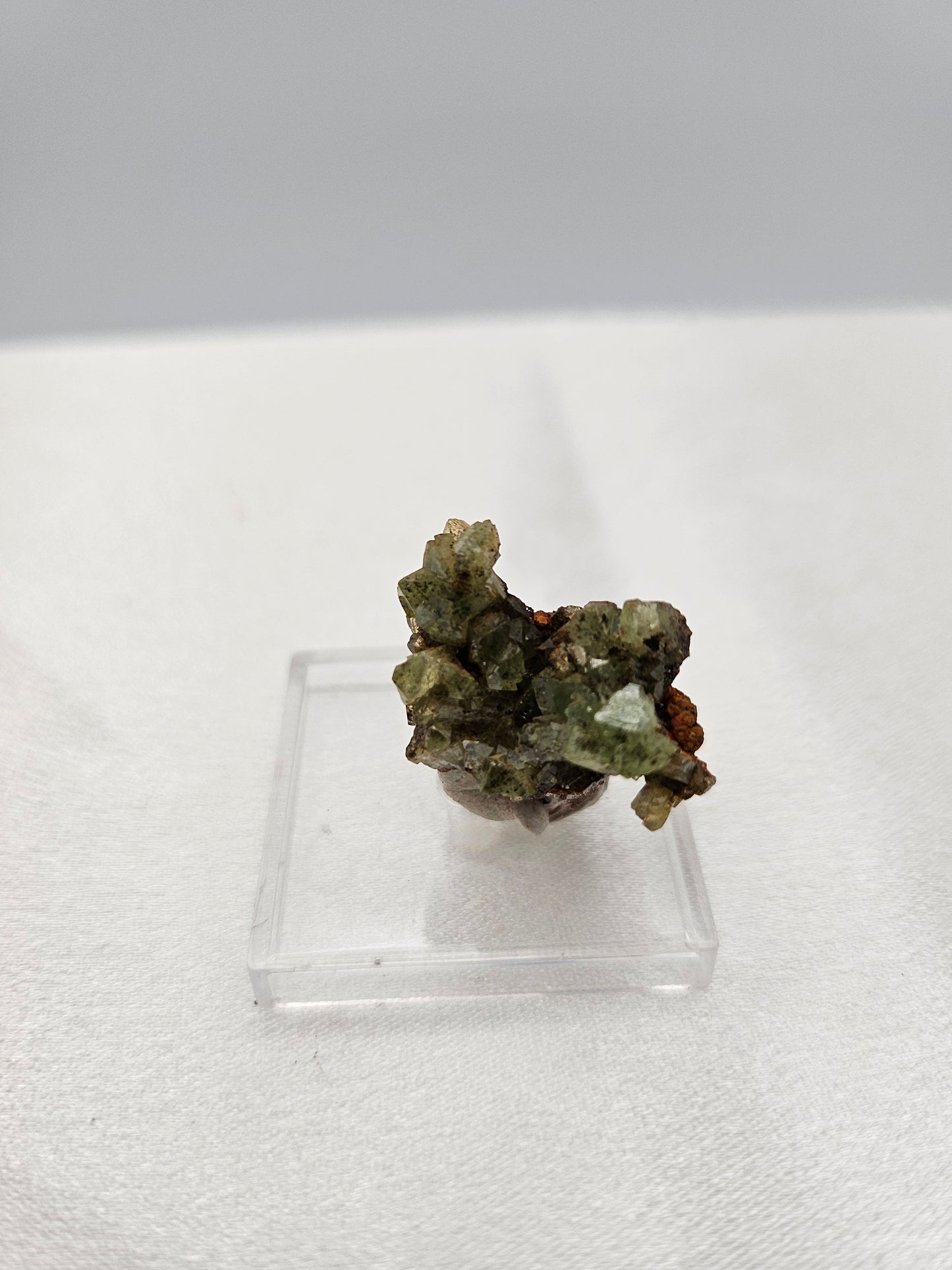 ADAMITE Fluorescent Ojuela Mine, Mapimí, Mexico