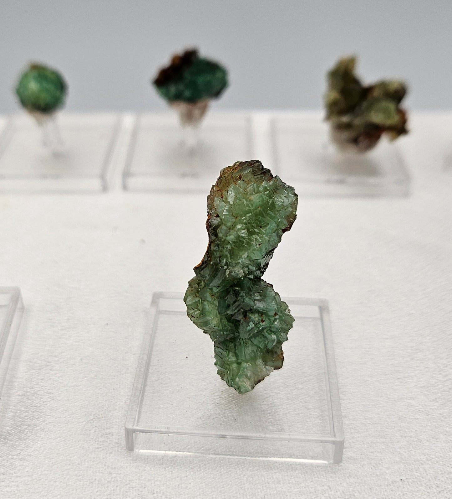 ADAMITE Fluorescent Ojuela Mine, Mapimí, Mexico