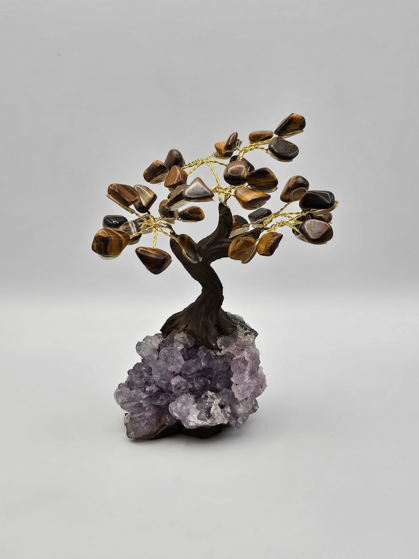 Tiger Eye Tree