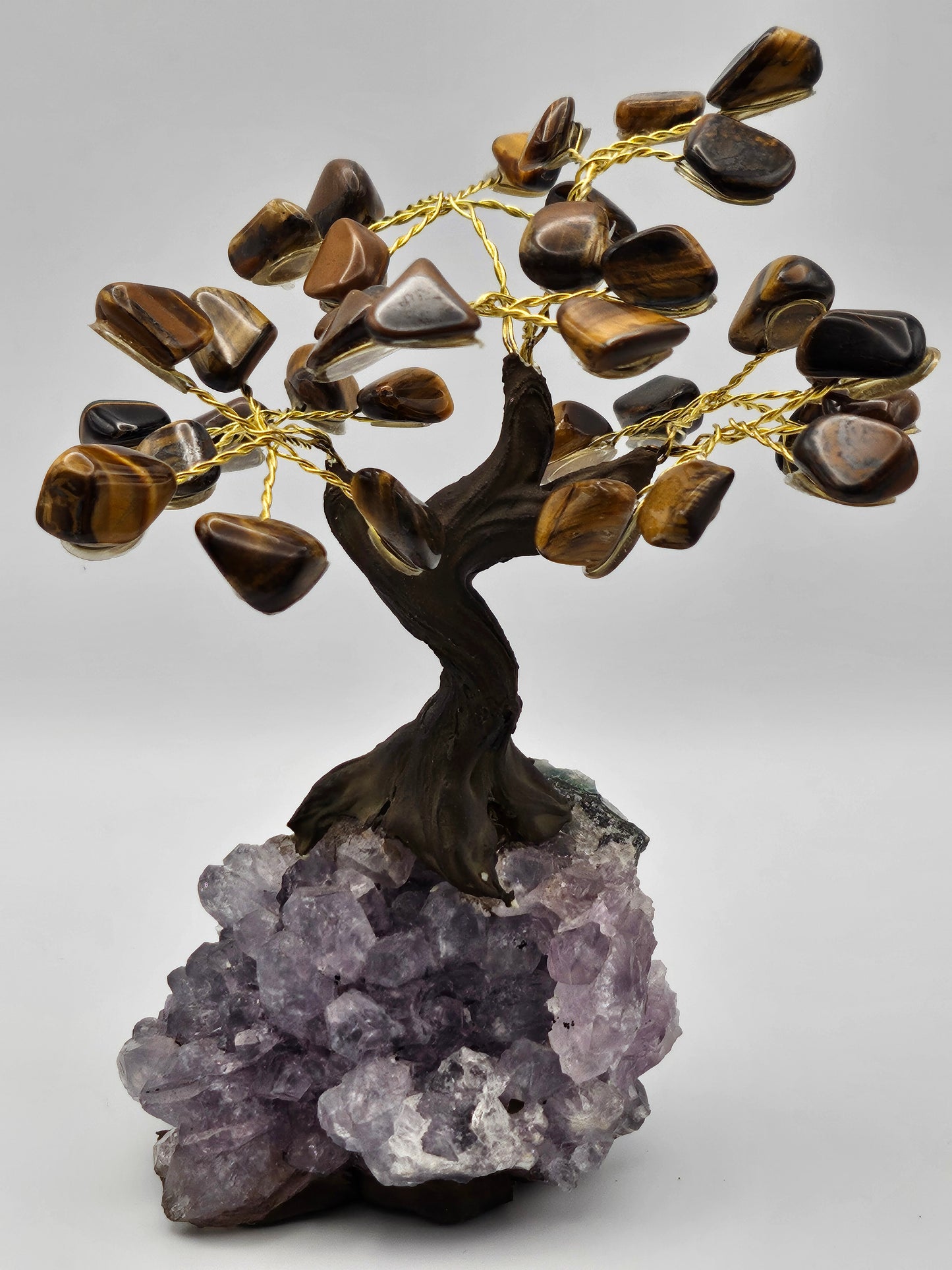 Tiger Eye Tree