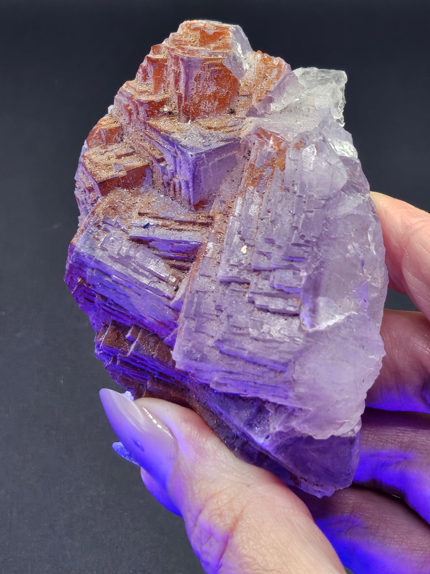 Filo Fluorite