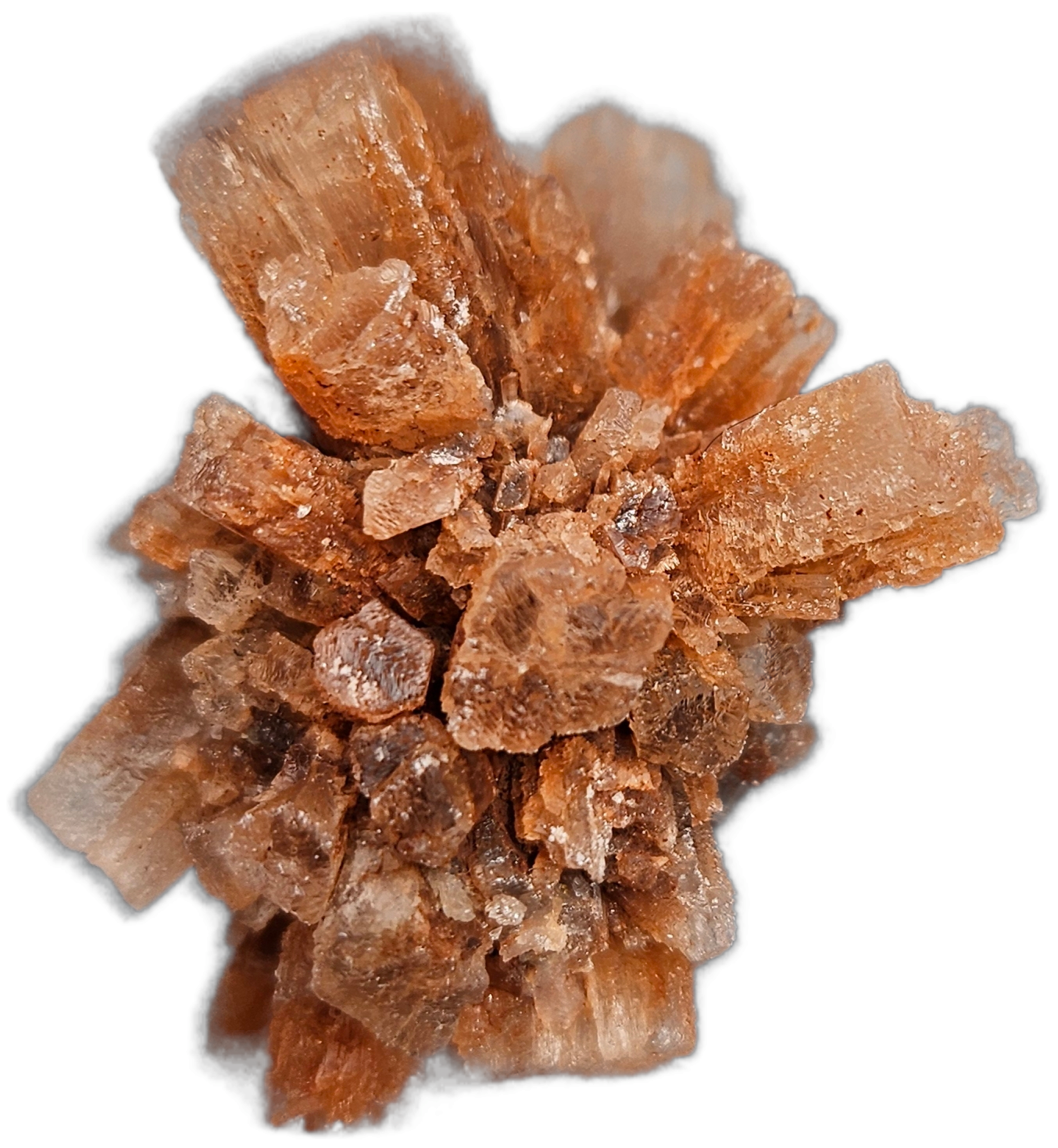 Aragonite Star Clusters