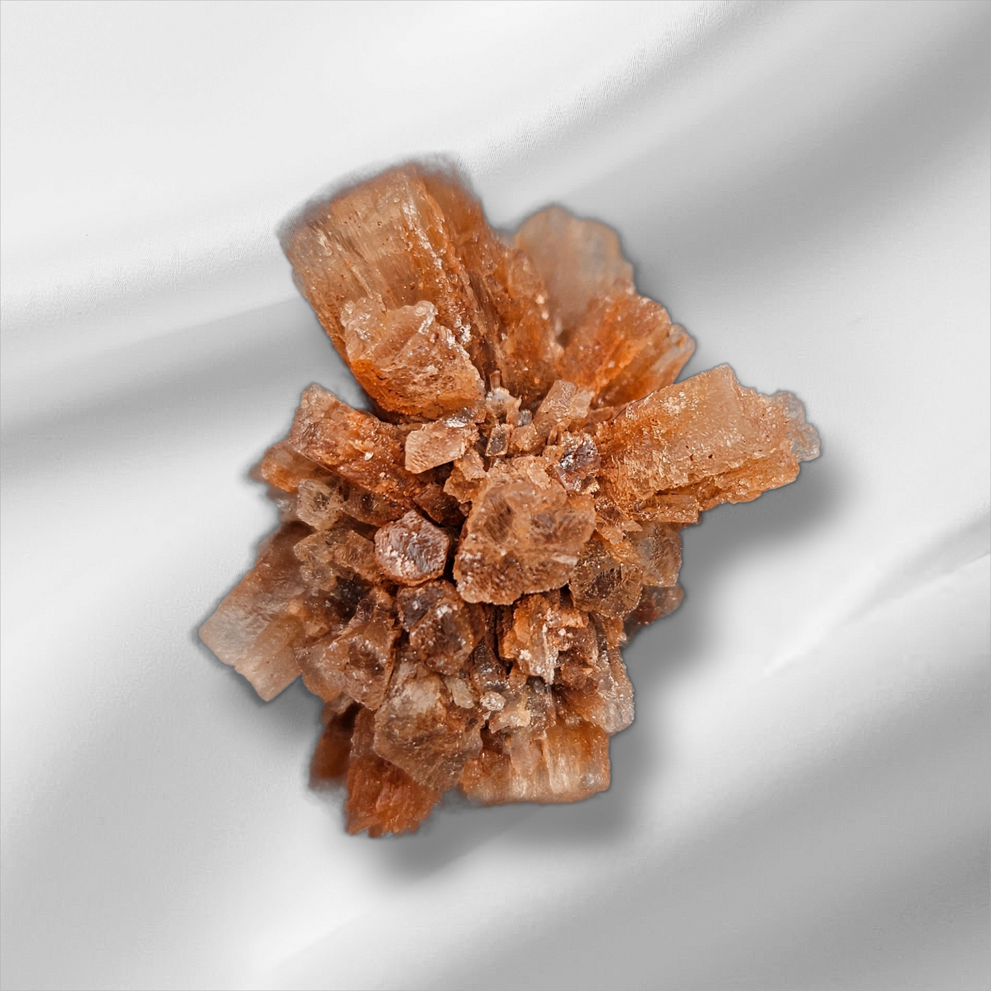 Aragonite Star Clusters