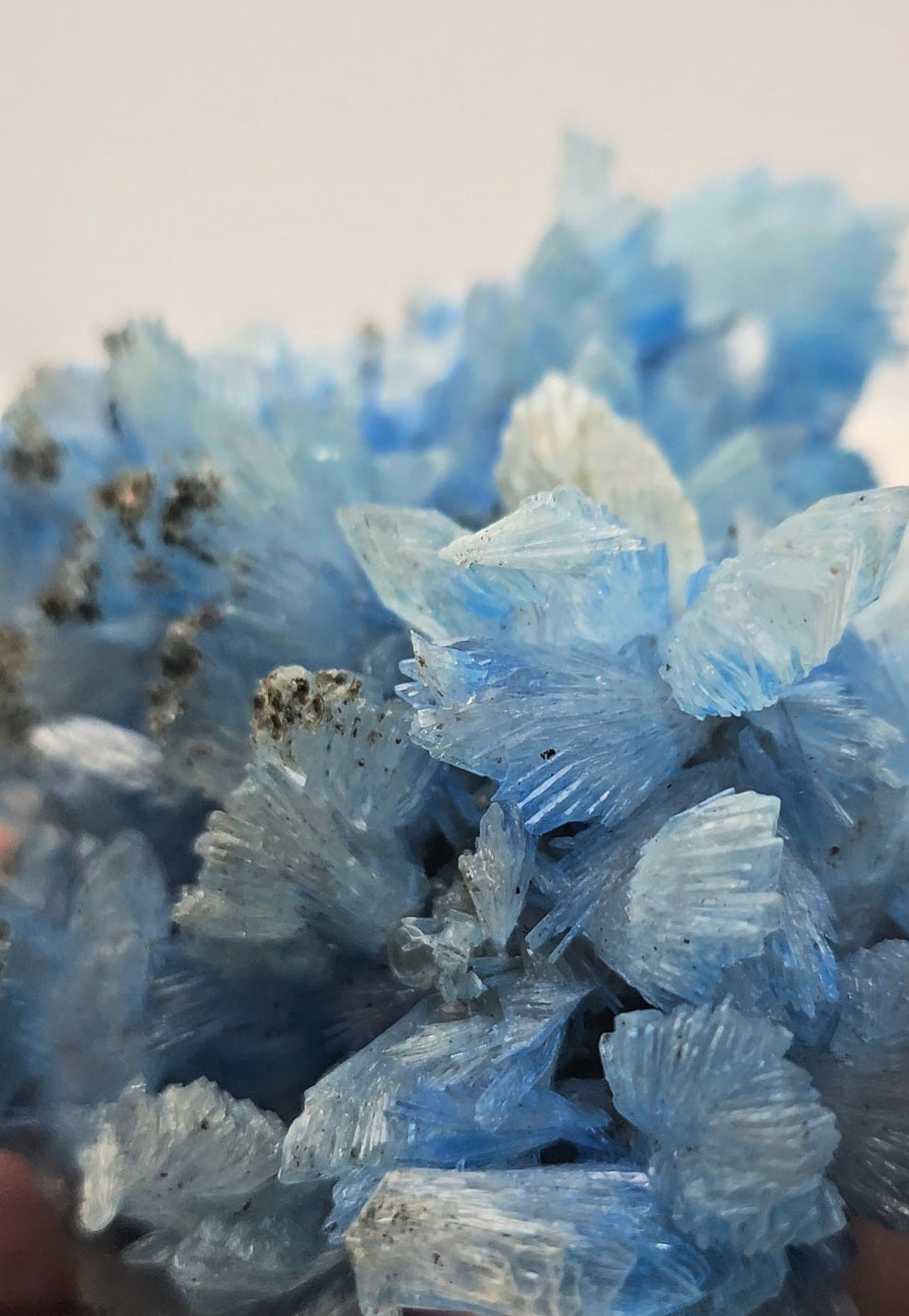 Blue Dyed Hemimorphite from Mexico