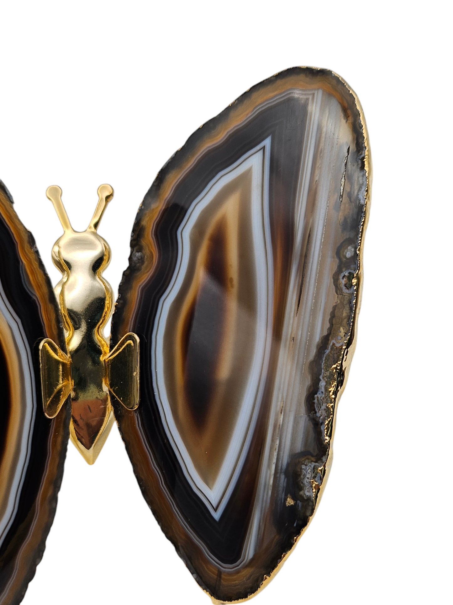 Agate Slice Gold Butterfly