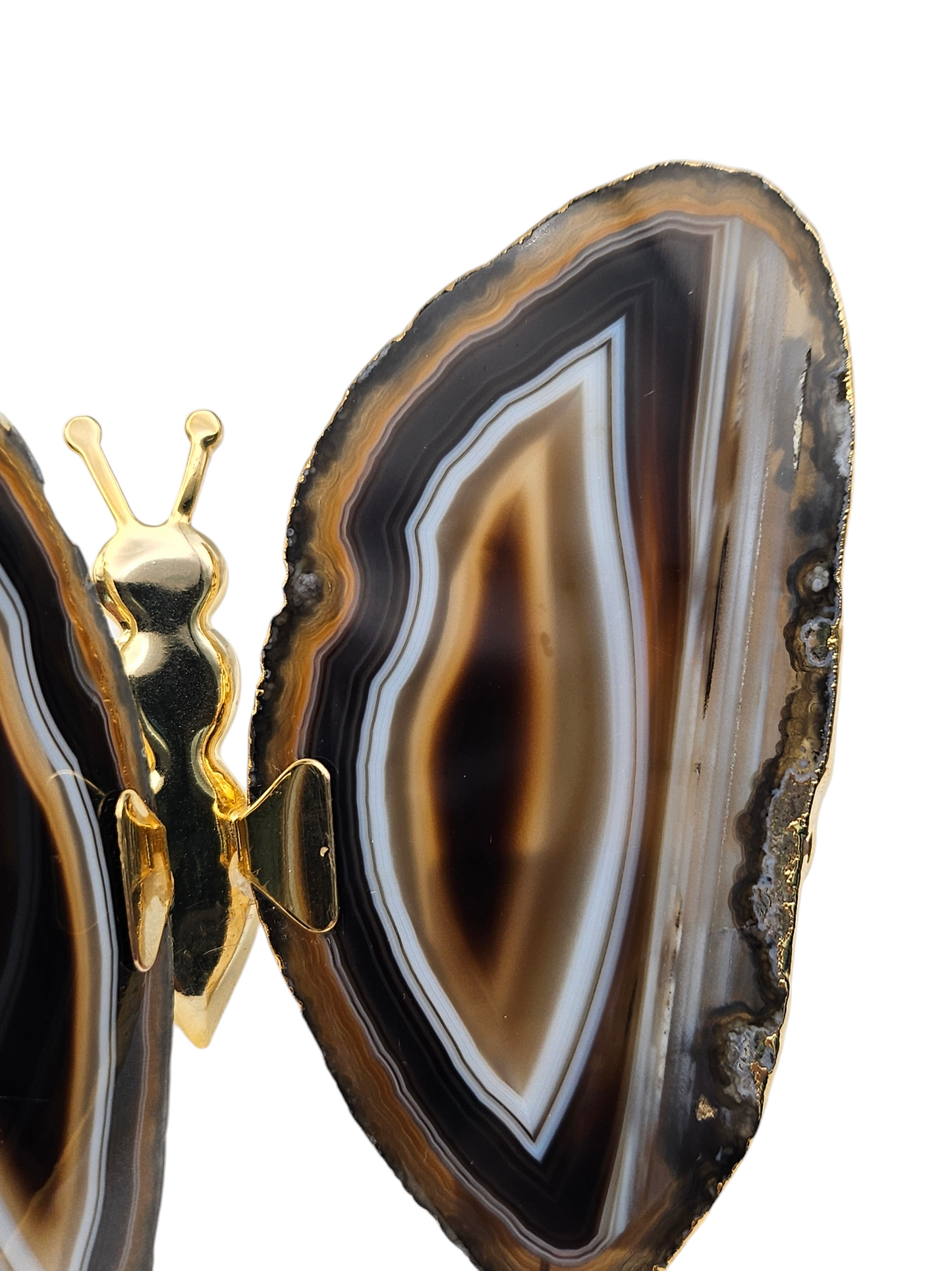 Agate Slice Gold Butterfly