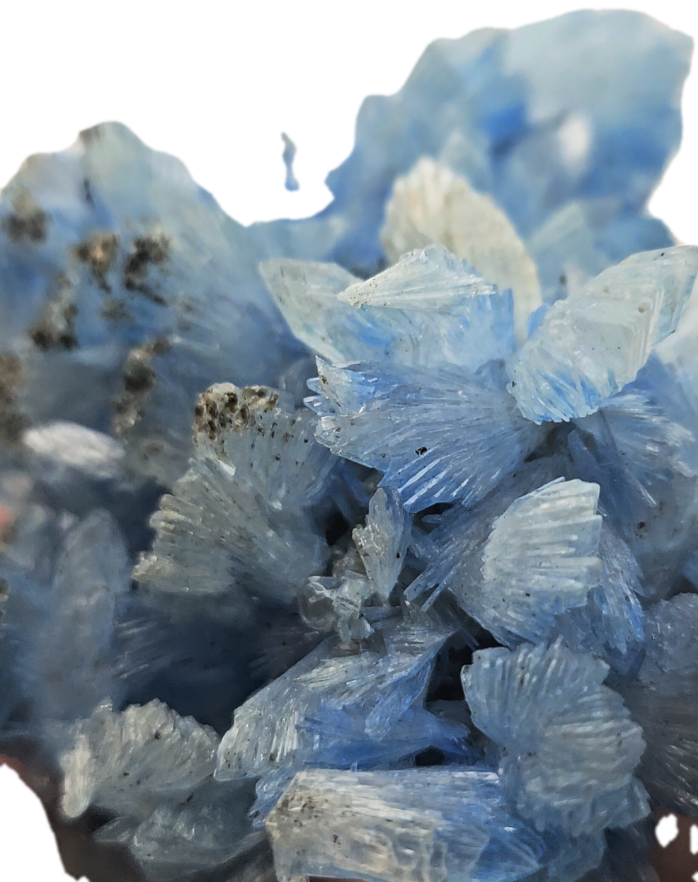 Blue Dyed Hemimorphite from Mexico