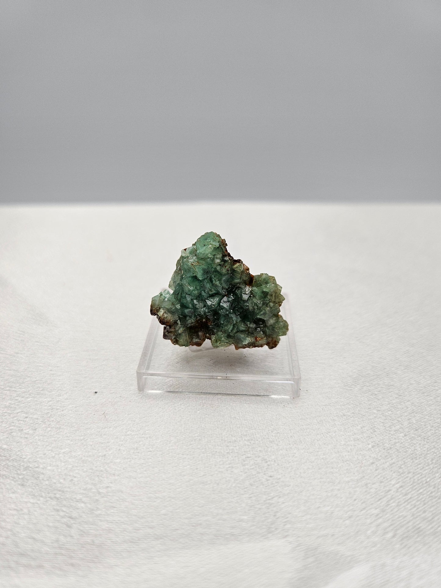 ADAMITE Fluorescent      Ojuela Mine, Mapimí, Mexico