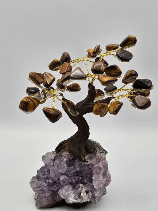 Tiger Eye Tree