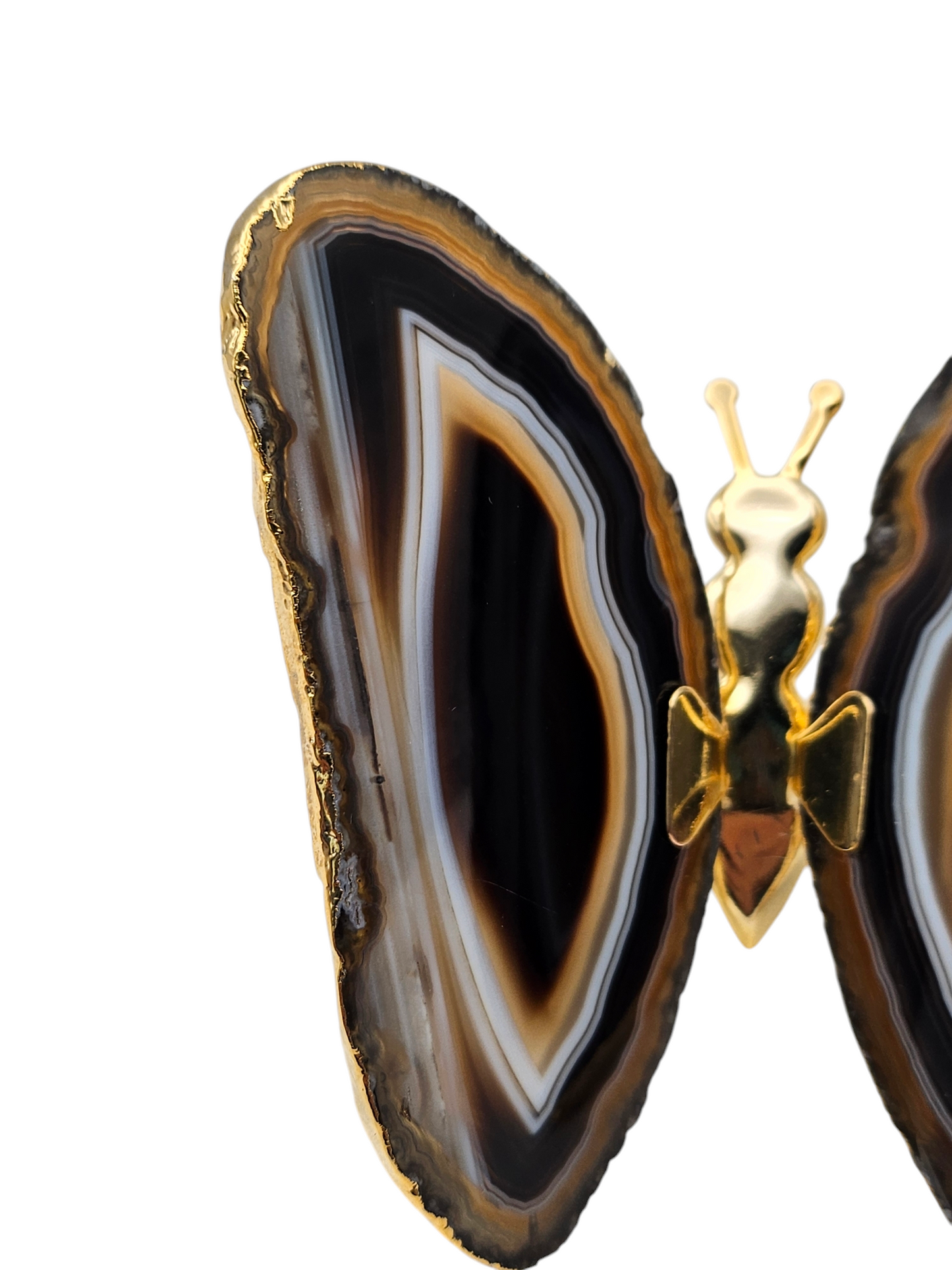 Agate Slice Gold Butterfly